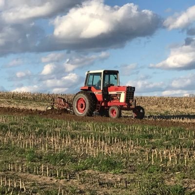 Collector. of anything made by International Harvester ,wrencher,small time farmer with the old stuff. Red in my veins ,rust an grease everywhere else