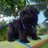 RanchoDash_'s profile image