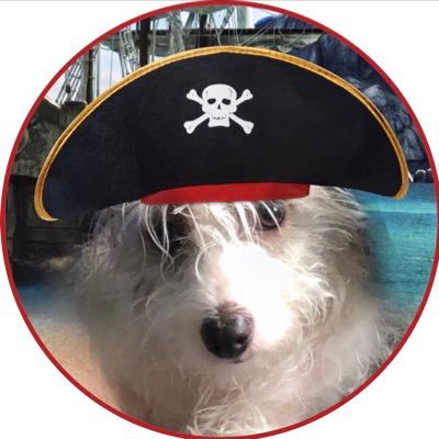 I keep my mom on her toes. I love destroying toys, bringing plants into the house and protecting my family from zombies!!! Proud Captain in the #ZSHQ