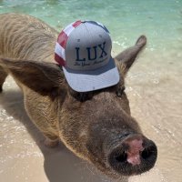 Corey Gibson (@coachgibson83) 's Twitter Profile Photo