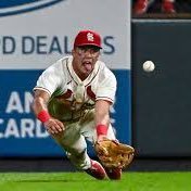 bigbodynoot's profile picture. cardinals vs orioles dream World Series