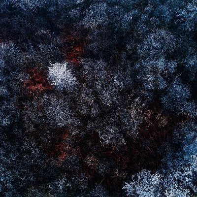 rizz19375's profile picture. singularity