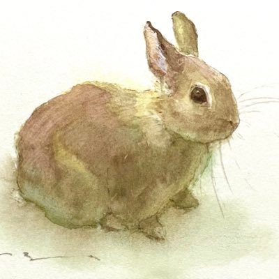 たかはしさんのプロフィール画像