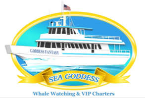 Rated #1 Whale Watching central Monterey Bay, located at the mouth of the canyon where whales frequently feed!  All reservations made online. (831) 920-1499