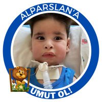 Alparslan Aktürk(@AlparslanSma) 's Twitter Profile Photo