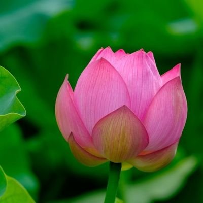 yuchan785's profile picture. 