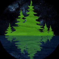 Cody (@forestmanc) 's Twitter Profile