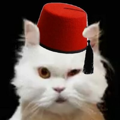 Kendi Kendine düşünen bir Kedi ! .
🇹🇷👉Gruplara HAYIR !!!👈🇹🇷