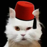 Akçesiz Bey 🇹🇷 (@su55uz) 's Twitter Profile