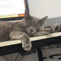 Eladio Monerri (@monerri_) 's Twitter Profile