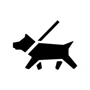 right_adst's profile picture. 新卒で大学職員になりました（6年目）