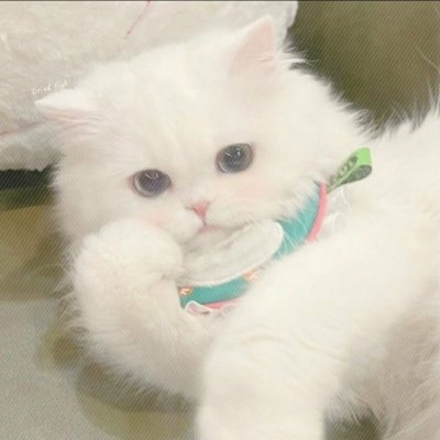 @wulianwen1