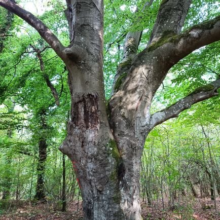 Popeskul02's profile picture. 