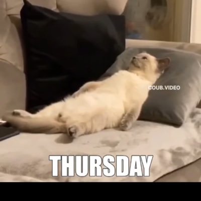 Martinglaubtnie's profile picture. 