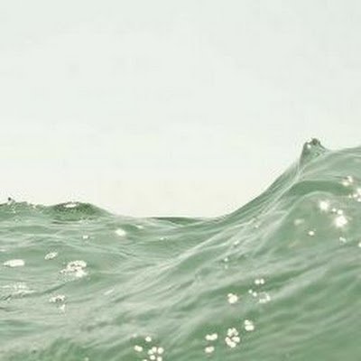 S50638439's profile picture. 