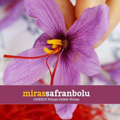 mirassafranbolu