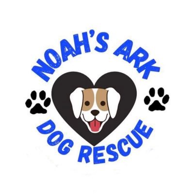 A small, non profit rescue saving the lives of stray dogs and keeping them safe. Supporting spay and neuter campaigns 🐾 https://t.co/1BDOzSDJwp