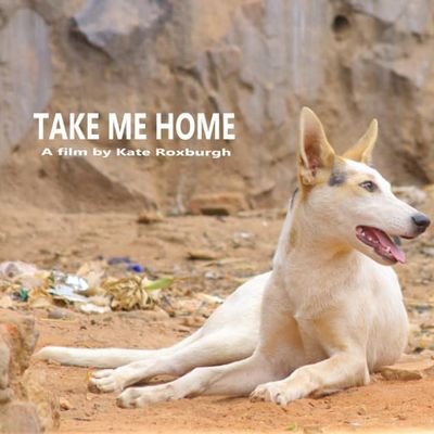 We are a charity pet organization that provides medication to street, sick & homeless dogs in (Africa) Uganda,Kenya,Tanzania,Burundi,Sudan & Congo.