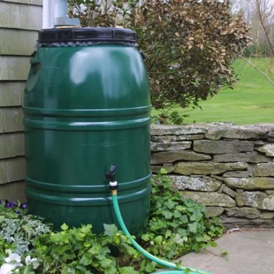 All about #rainbarrel #rainbarrels #rainwater #raingarden #rainfall