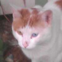 Cloudsheep1's profile picture. 