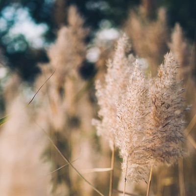 abu60051180's profile picture. 