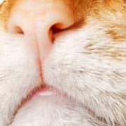 toishi_netorare's profile picture. 光回線解約からの再契約完了‼︎