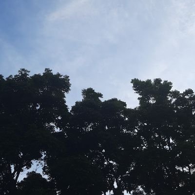 PandaB51's profile picture. Retired banker