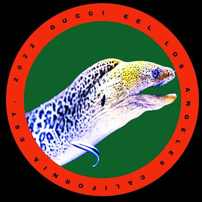 GucciEel's profile picture. Halo Infinite | Gamer | Stream Soon