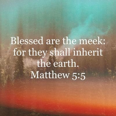 ChandMasih19's profile picture. 