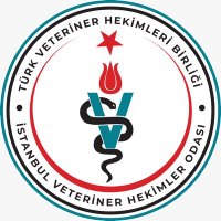 İVHO (@_ivho) 's Twitter Profile