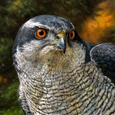 Professional Wildlife and Paleo Artist. Animals fuel my life and my art. 

https://t.co/6KP5MPuLVQ
https://t.co/4o4gQqSDYQ