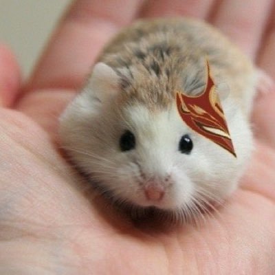 Hellojanuary86's profile picture. 