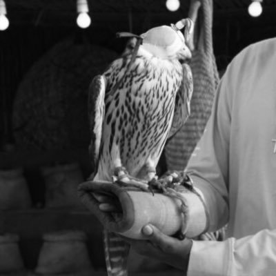 swaystream's profile picture. Typing...