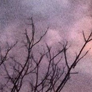 Yeobian's profile picture. 