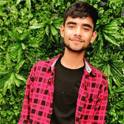 ashishmi0029's profile picture. हिंदू 🚩