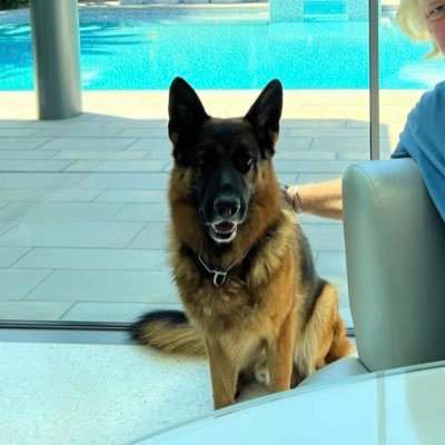 PaulL00992434's profile picture. I love animals 😻 a lot mostly dogs 🐩