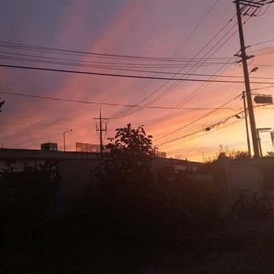 엑소 사랑하자