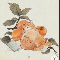 Anobist (@anobist) 's Twitter Profile