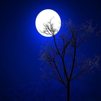 Moheb__Maryam's profile picture. اللهم احشرني معها من حبيتها فقط السيدة نساء أهل الجنة الأولى الصديقة البتول مريم ابنت عمران عليها السلام ورحمة، في يوم الحساب وفي أعلى جنتك لا غير.