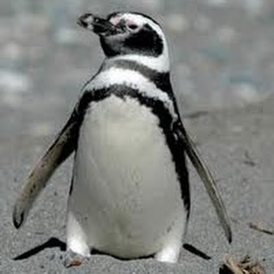 CarlosM18443229's profile picture. 