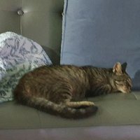 arinme (@cbbbt75) 's Twitter Profile