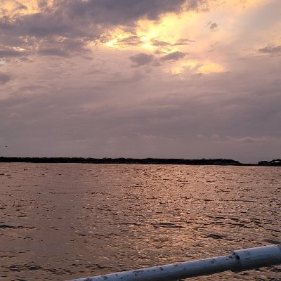 rodriguez01_r's profile picture. 