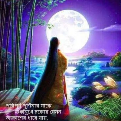 Esmotara56's profile picture. I am  professional  digital marketer