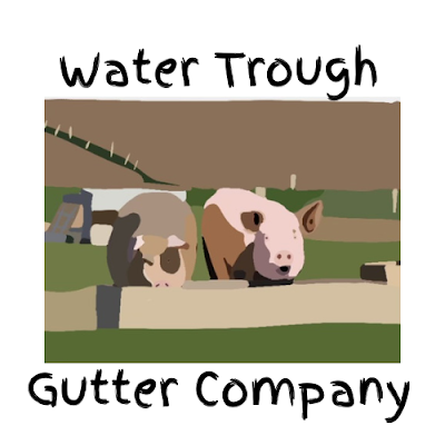 My name is Ireland Fay, I work with Water Trough Gutter Company. We install and replace gutters and guards. Free estimates. Good service.
833-H20-HAWG