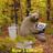 bearfl1p's profile image