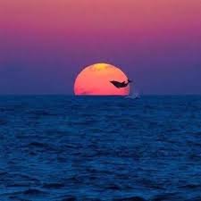 jonathan6841's profile picture. yes
@0xHashstack Contributor