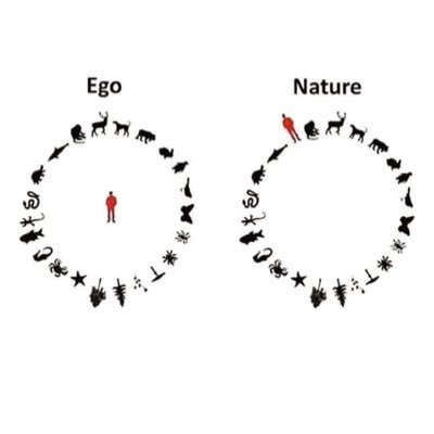 CodeMensch's profile picture. Sein kommt vor haben//We are our choices. -Satre- Bitte um Starthilfe! Danke 🙏