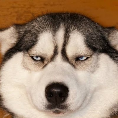 stackjc020's profile picture. 