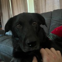 Barry Weese (@barryweese) 's Twitter Profile