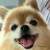 dora_sadaharu (@sadaharu_skdrm) Twitter profile photo dora_sadaharu (@sadaharu_skdrm) Twitter profile photo
